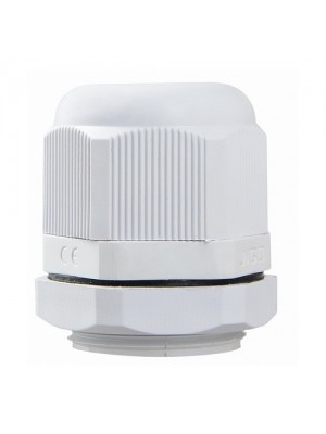 Сальник АСКО PG 21