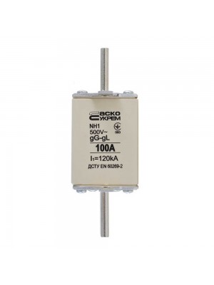 Запобіжник NH1 100A gG АСКО