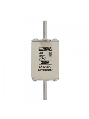 Запобіжник NH1 250A gG АСКО