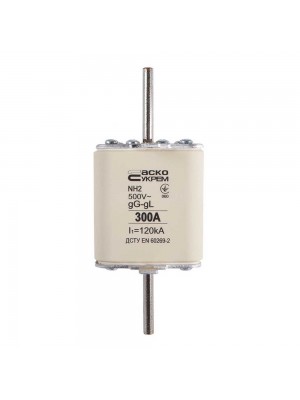 Запобіжник NH2 300A gG АСКО