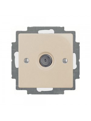 Розетка ABB basic55 cлонова кість TV