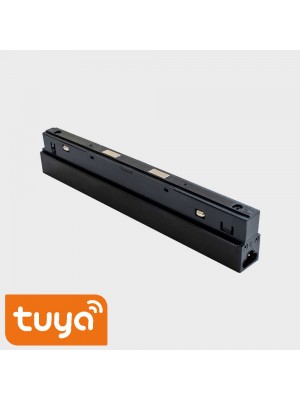 Блок питания RAYFOR MT-E Driver WiFi черный 100W 220AC 48V DC встроенный