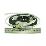 Cветодиодная лента RISHANG 24V 8.6W 6500K 120led IP20 ( бухта 5м ) ( RN08C0TC-B )