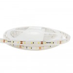 Cветодиодная лента RISHANG 12V 5,5W зеленая 60led IP67 ( бухта 5м ) ( RN3060TA-B​ )