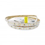 Cветодиодная лента RISHANG 24V 12W 3000K 128led IP20 ( бухта 5м ) ( RD00C8TC-A )