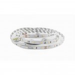 Cветодиодная лента RISHANG 24V 5.5W 5000K 60led IP33 ( бухта 5м ) ( RN0860TC-B )