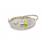 Cветодиодная лента RISHANG 24V 8.6W 1800K 120led IP20 ( бухта 5м ) ( RD08C0TC-B )