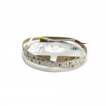 Cветодиодная лента RISHANG 24V 8.6W 2700K 120led IP20 ( бухта 5м ) ( RD08C0TC-B )