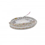 Cветодиодная лента RISHANG 24V 8.6W 3000K 120led IP65 ( бухта 5м ) ( RN68C0TC-B )