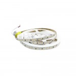 Cветодиодная лента RISHANG 24V 8.6W 4000K 120led IP20 ( бухта 5м ) ( RD08C0TC-B )