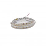 Cветодиодная лента RISHANG 24V 8.6W 6500K 120led IP65 ( бухта 5м ) ( RN08C0TC-B )