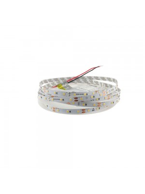 Cветодиодная лента RISHANG 12V 4,8W 4000K 60led IP33 ( бухта 5м )