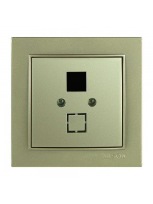 Розетка Nilson Thor золото комп'ютерна без модуля