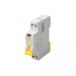 Автомат диференційного захисту SB-R10N 2P C 6A 30mA Tип AC 6kA UEC( RCBO-R10N-2-006-C-030-AC )
