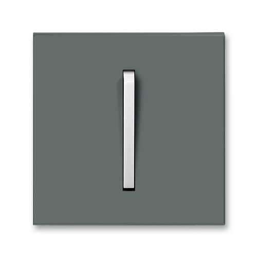 Клавіша вимикача Neo графіт/крижаний білий 1кл ( 2CHM590651A4061 )