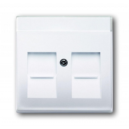 Розетка ABB basic55 2-на біла комп'ютерна з полем для напису ( 2CKA001710A3945 )