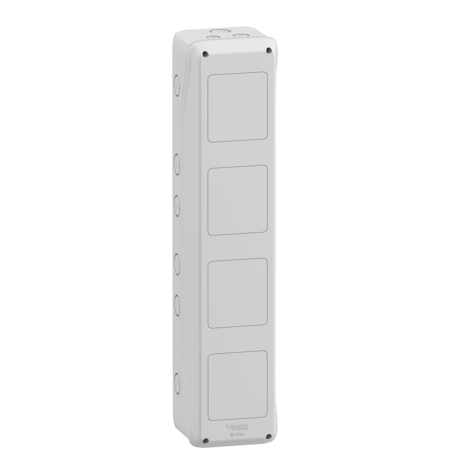 Бокс пластиковий Schneider Mureva 4 отвори інтерфейсний IP65 ( 13994 )