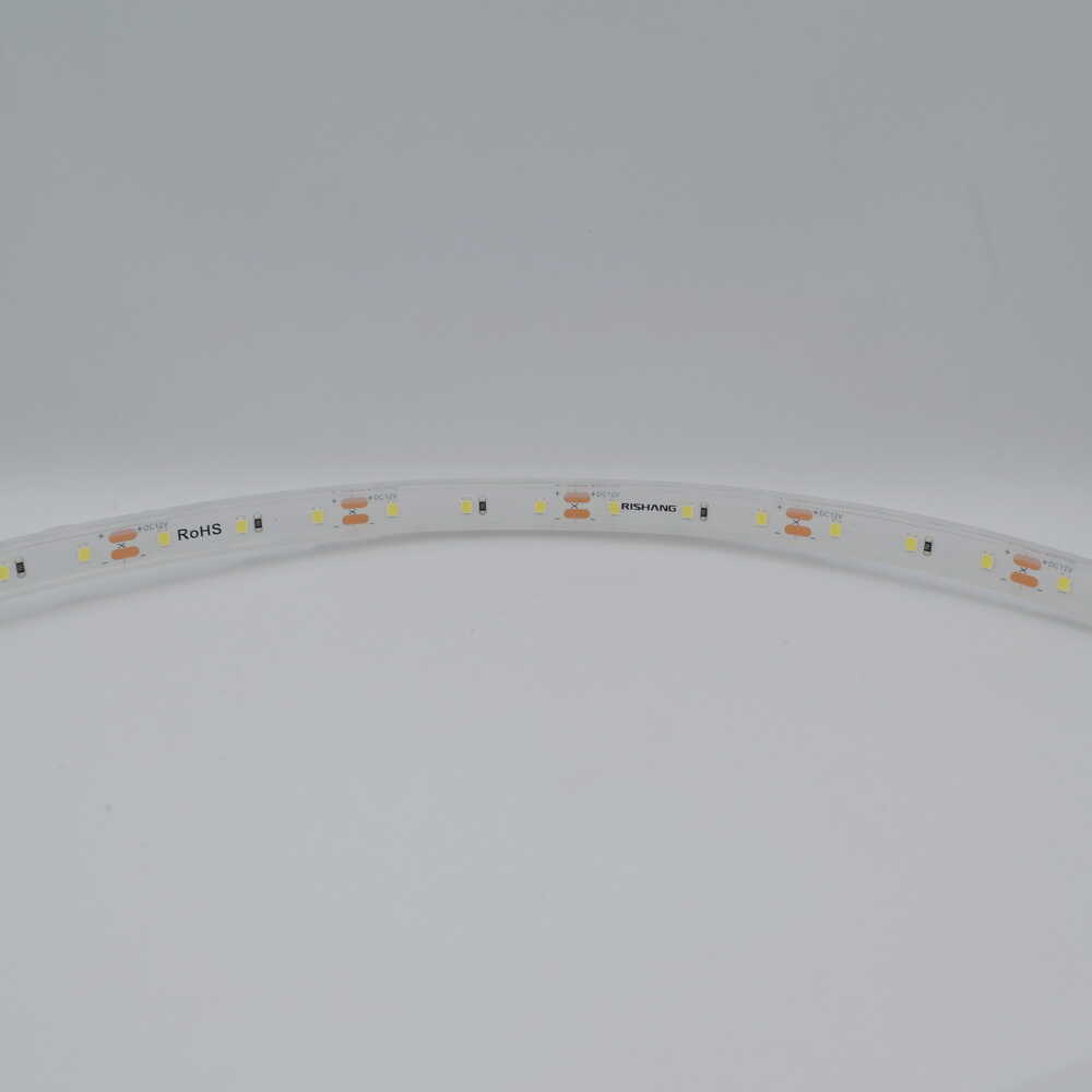 Cветодиодная лента RISHANG 12V 5,5W 6500K 60led IP67 ( бухта 5м ) ( RN3060TA-B )