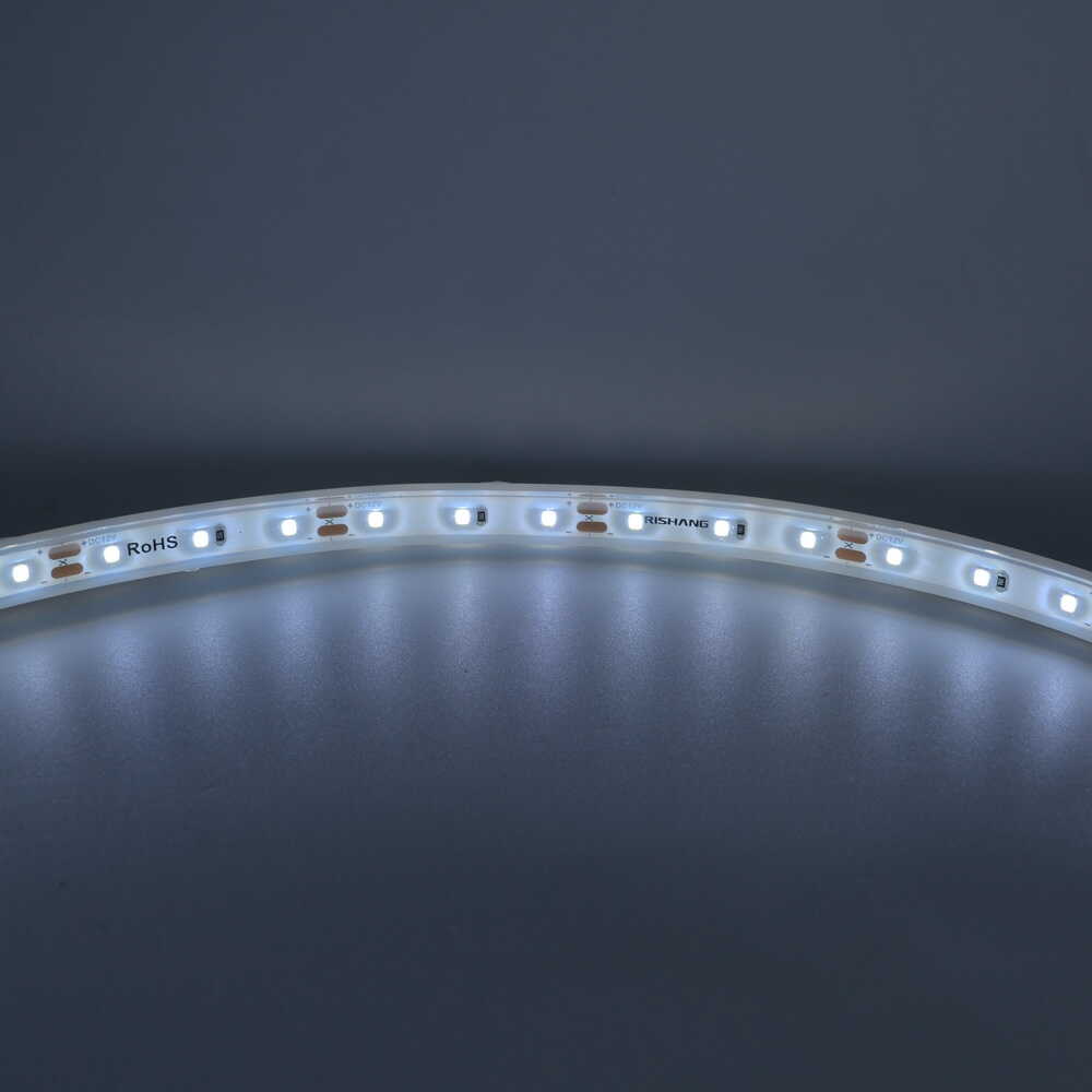 Cветодиодная лента RISHANG 12V 5,5W 6500K 60led IP67 ( бухта 5м ) ( RN3060TA-B )