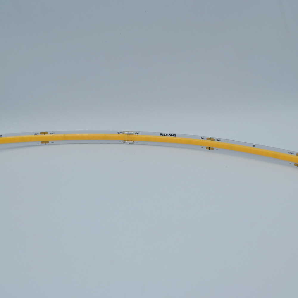 Cветодиодная лента RISHANG 24V 10W 3000K 320led IP20 ( бухта 5м ) ( RM0801MC-D ) Cветодиодная лента RISHANG 24V 10W 3000K 320led IP20 ( бухта 5м ) ( RM0801MC-D )